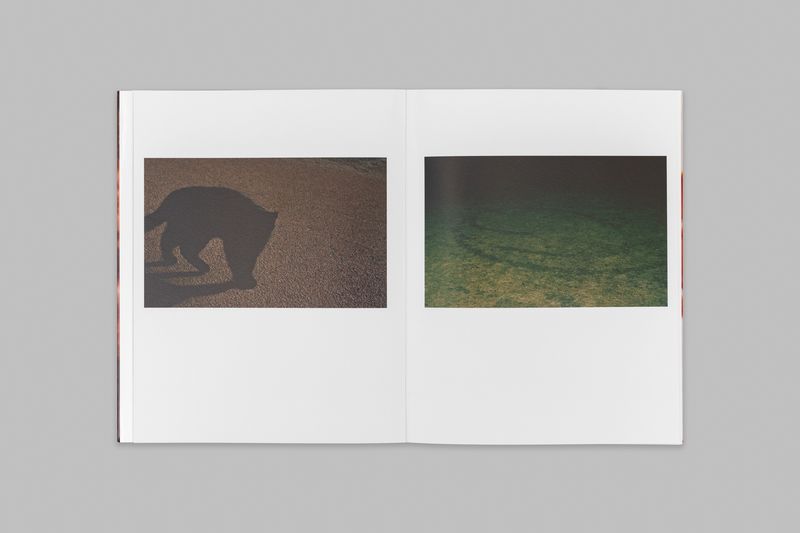 Image from a project on PhMuseum