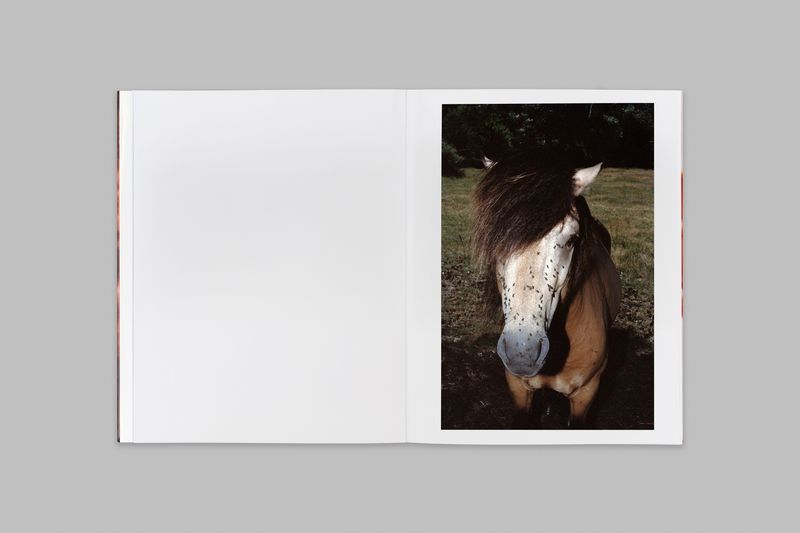 Image from a project on PhMuseum