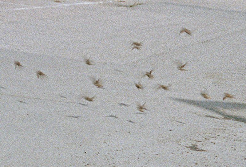 Image from a project on PhMuseum