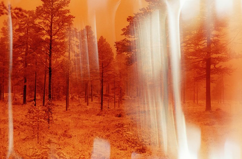 © Sunniva Hestenes - Image from the A Tear for Someone Undeserving photography project