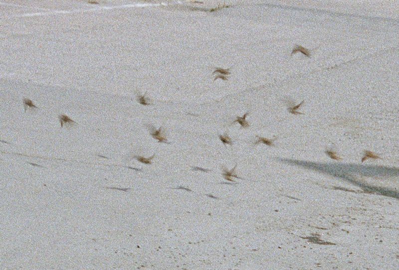 © Sunniva Hestenes - Image from the A Tear for Someone Undeserving photography project