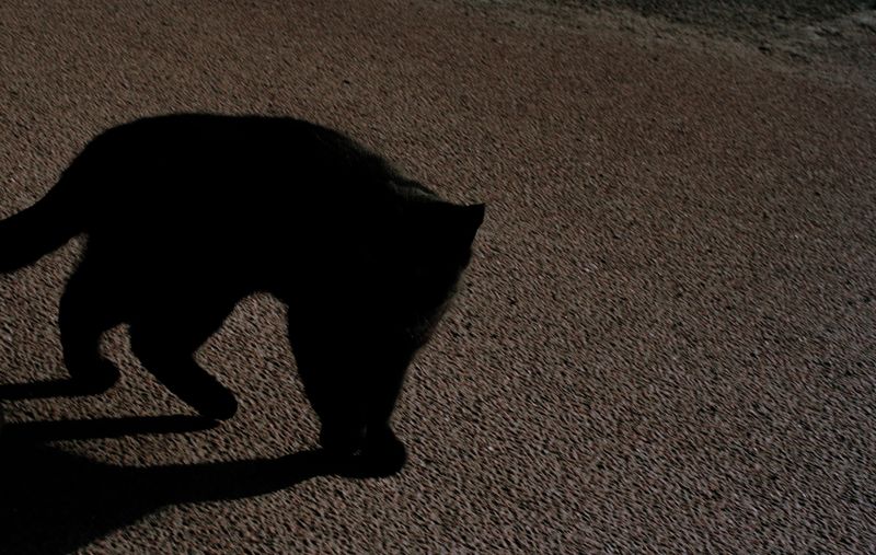 © Sunniva Hestenes - Image from the A Tear for Someone Undeserving photography project