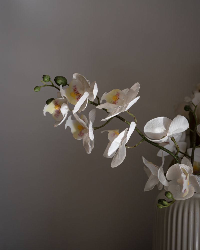 © Eddie Ryan - Image from the The Persian Word For Paradise photography project