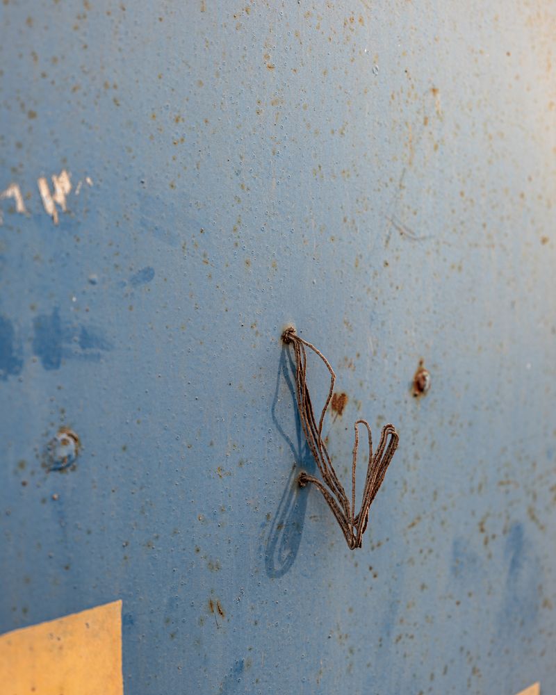 © Eddie Ryan - Image from the The Persian Word For Paradise photography project