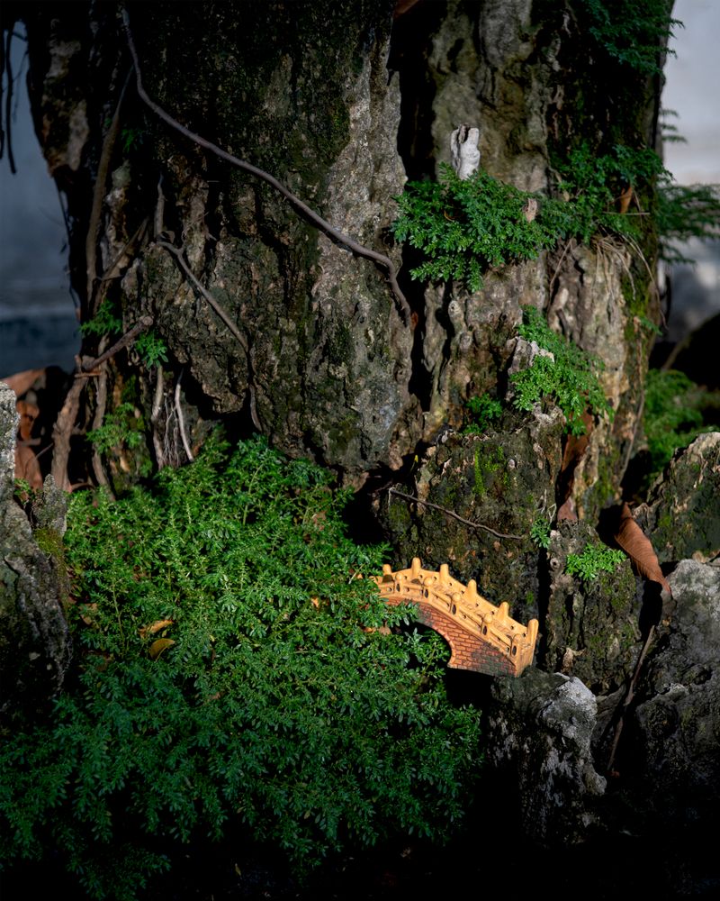 © Eddie Ryan - Image from the In the Pure Land photography project