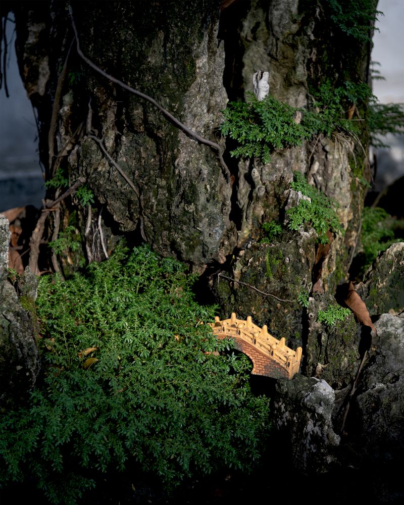 © Eddie Ryan - Image from the In the Pure Land photography project