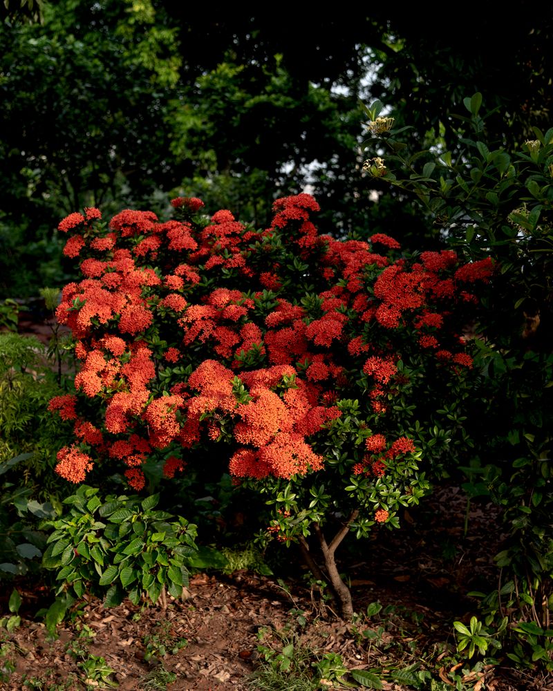 © Eddie Ryan - Image from the In the Pure Land photography project