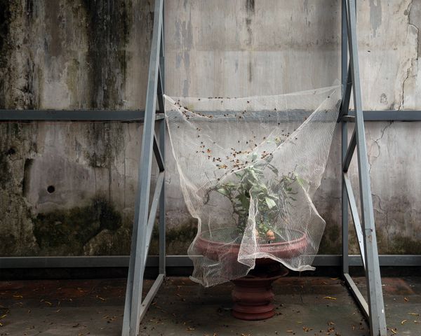 © Eddie Ryan - Image from the In the Pure Land photography project