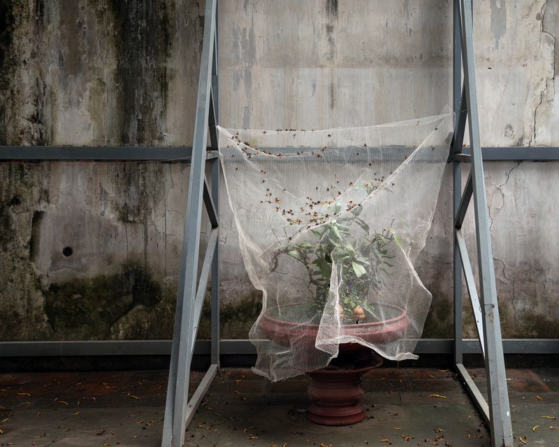 © Eddie Ryan - Image from the In the Pure Land photography project