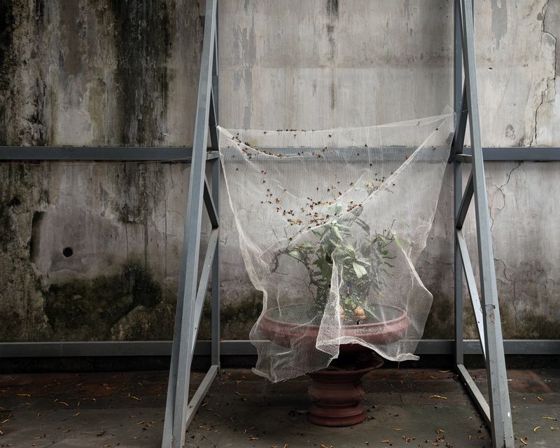 © Eddie Ryan - Image from the In the Pure Land photography project