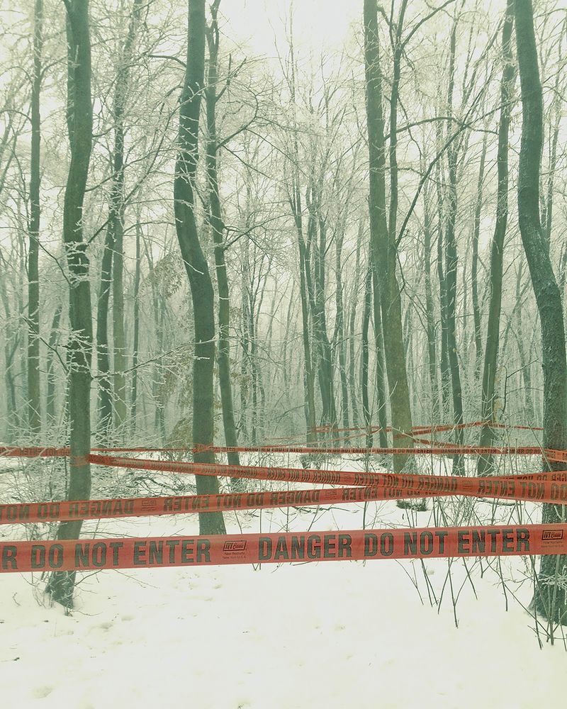 © Anna Tihanyi - Outlander - Forest - Budapest, 2017.