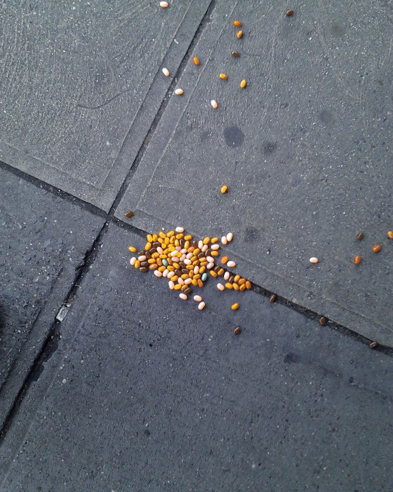 © Anna Tihanyi - Childlike empress - Candy - New York City, 2016.