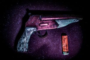 To live and die in slovenia