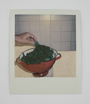 Revisiting Reality. A Meditative Exploration of Life