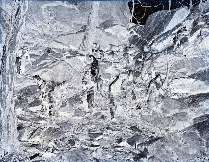 © Evan Hume - Camouflage Test, 2020