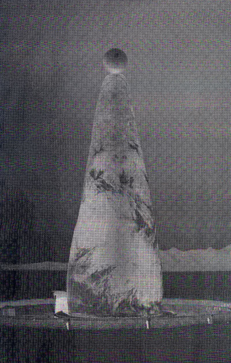 © Evan Hume - Groom Lake (Area 51), 2019