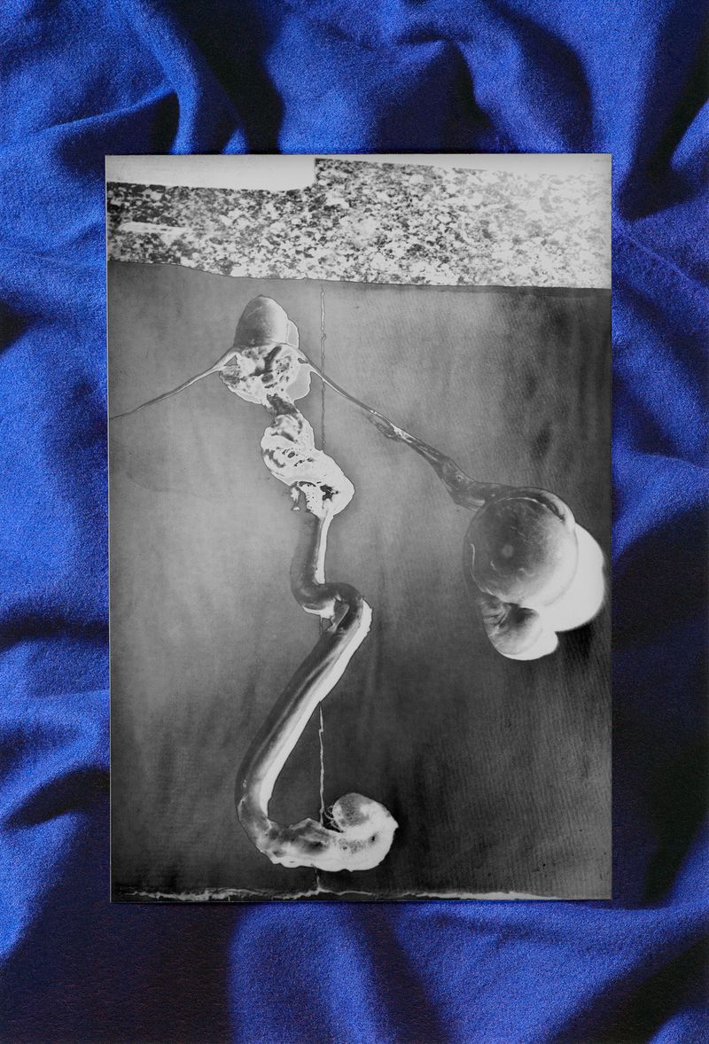 © Evan Hume - "Atomic Energy (Eye)" 2024