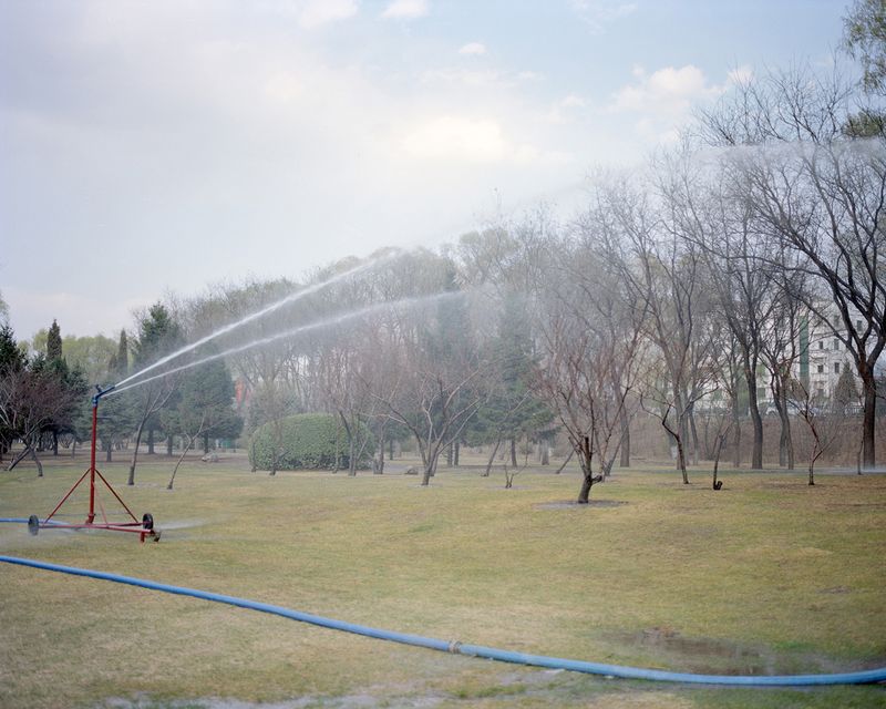© Lu Wang - Frozen are the winds of time #22 Renovated park