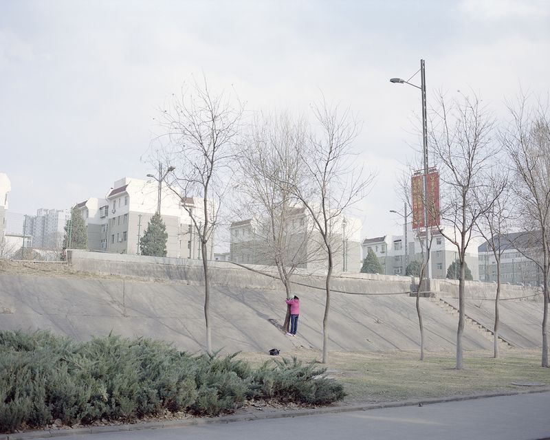 © Lu Wang - Frozen are the winds of time #29 People doing sports in a park