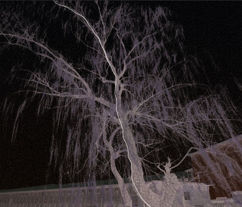 © Lu Wang - Image from the Now here, Now there photography project