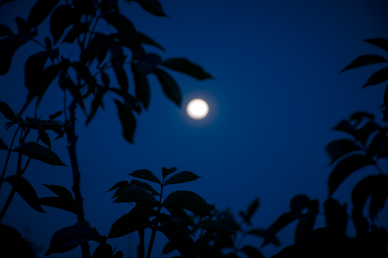 © Evelyn Corte Espinosa - The moon seen from the house of one of the participants