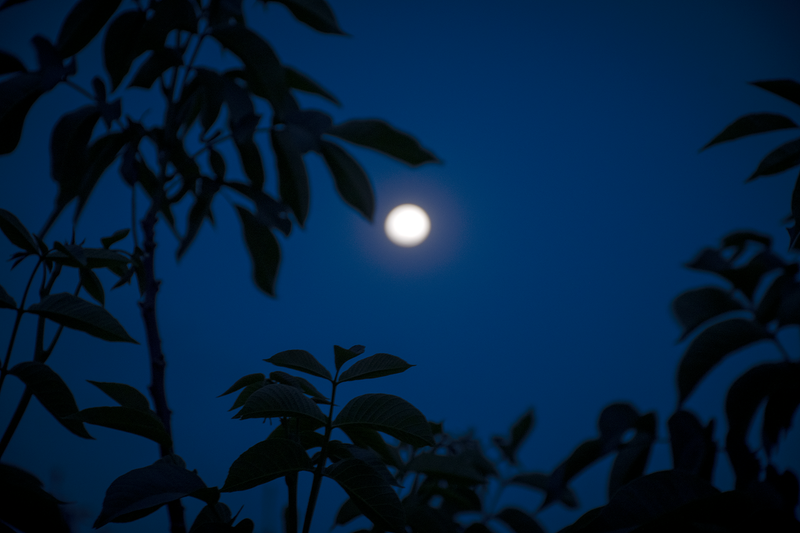 © Evelyn Corte Espinosa - The moon seen from the house of one of the participants
