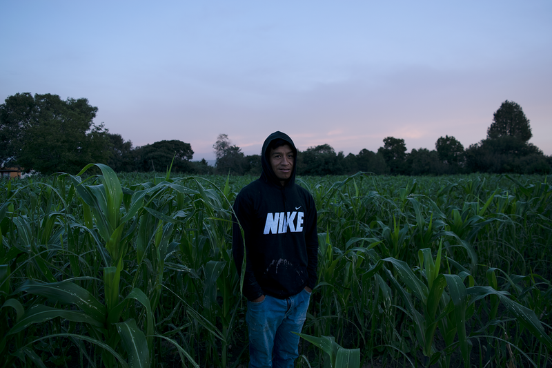 © Evelyn Corte Espinosa - Chucho at dawn among its farmland.