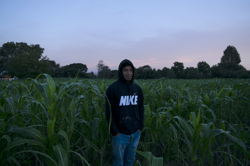 © Evelyn Corte Espinosa - Chucho at dawn among its farmland.
