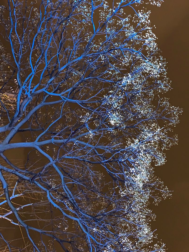 © Junwei Chen - Image from the i photography project