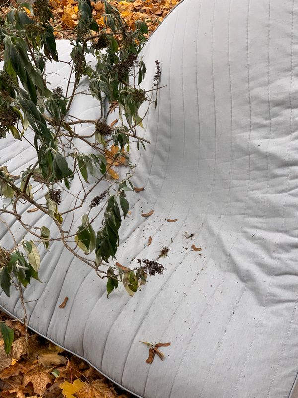 © Junwei Chen - Image from the i photography project