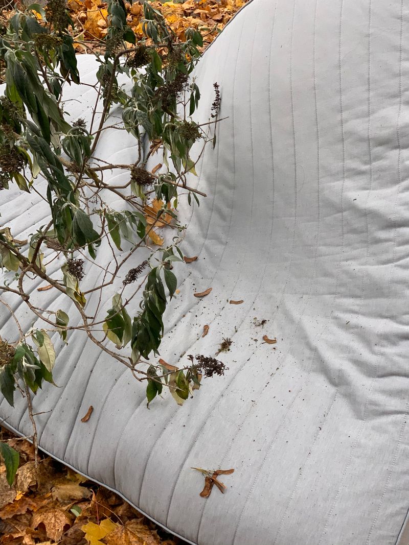 © Junwei Chen - Image from the i photography project