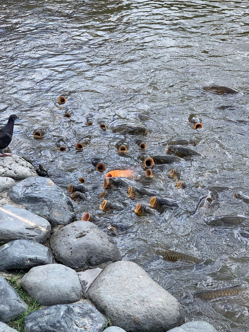 © Junwei Chen - Image from the i photography project