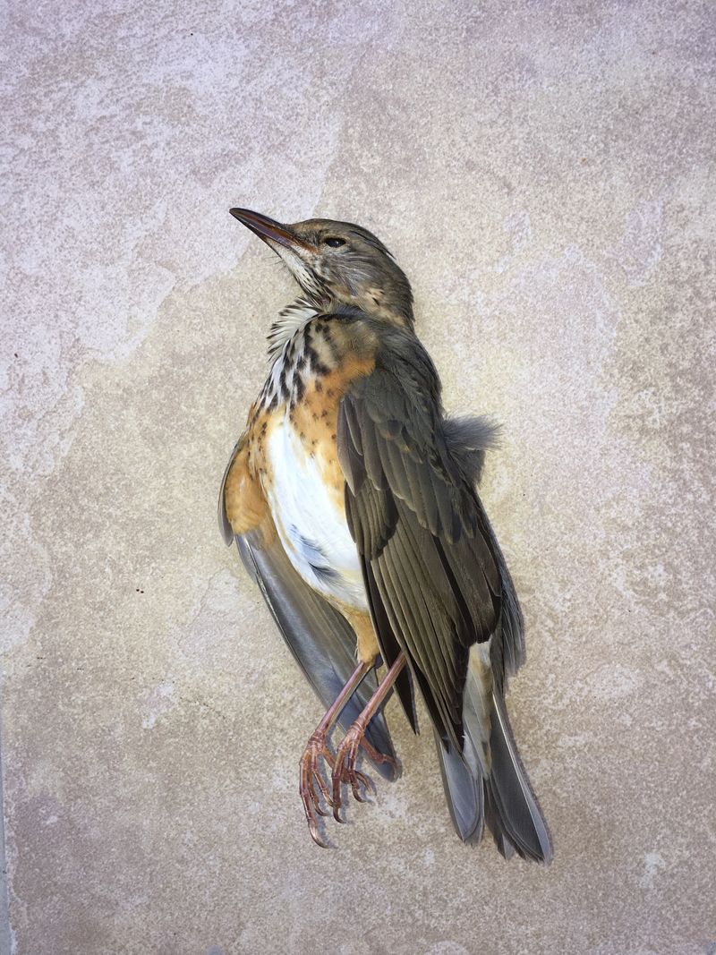 © Junwei Chen - Image from the i photography project