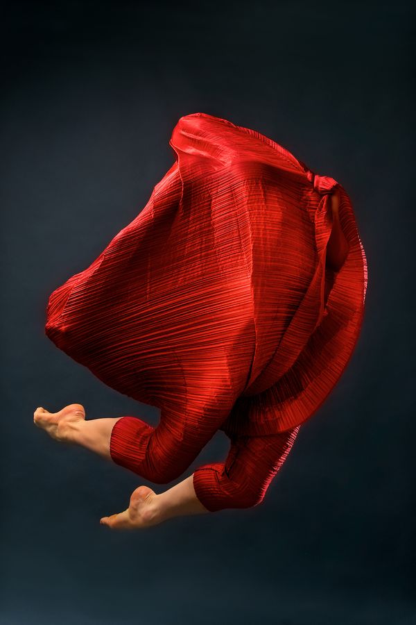 © Tina Gutierrez - Image from the Rare Creatures photography project