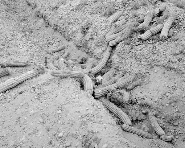 © Cristian Ordóñez - Untitled 24 (Valle). Atacama, 2022