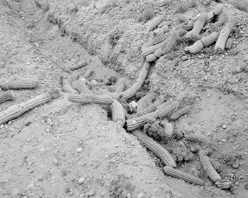 © Cristian Ordóñez - Untitled 24 (Valle). Atacama, 2022