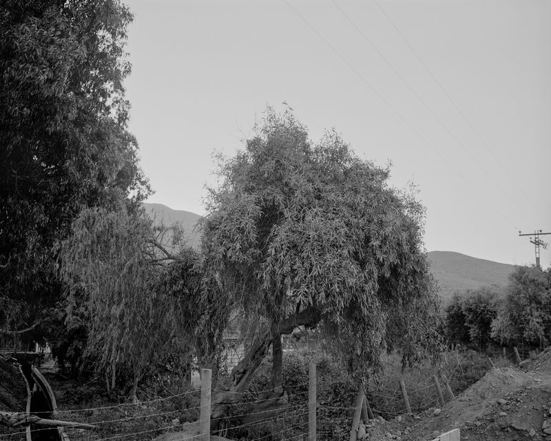 © Cristian Ordóñez - Untitled 148 (Valle). Atacama, 2022