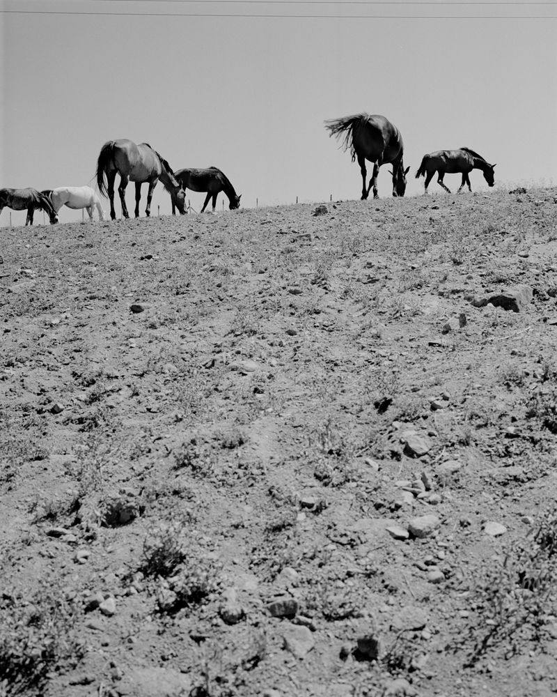 © Cristian Ordóñez - Untitled 160 (Valle). Atacama, 2022