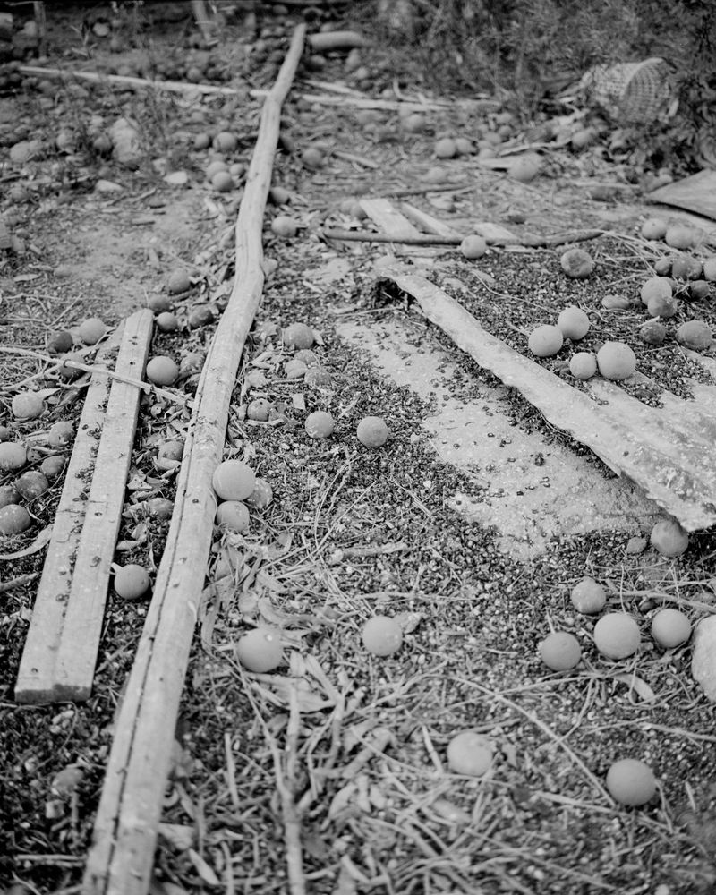 © Cristian Ordóñez - Untitled 24 (Valle). Atacama, 2022