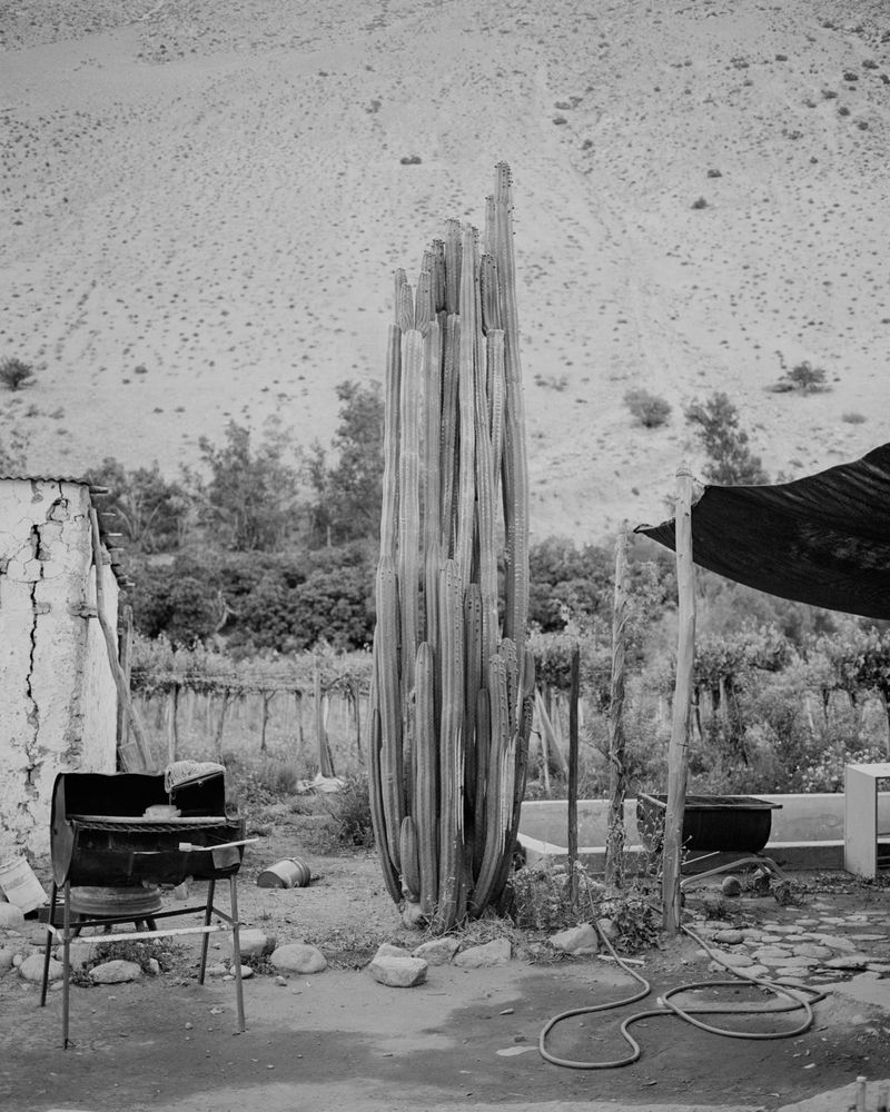 © Cristian Ordóñez - Untitled 26 (Valle). Atacama, 2022
