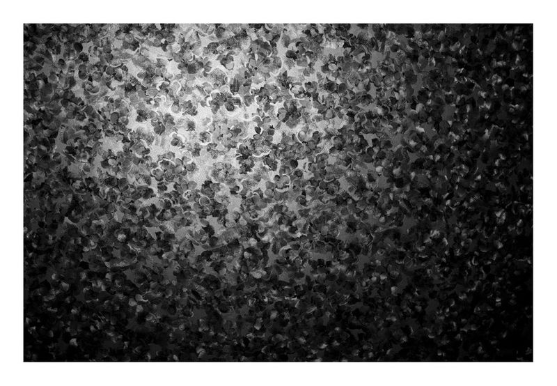 © Sofia Lopez Mañan - Image from the Anonymous photography project