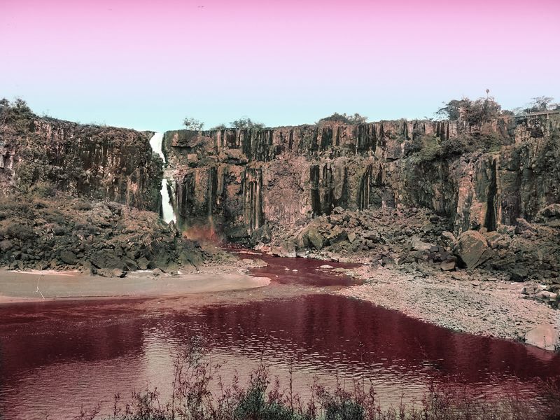 © Sofia Lopez Mañan - Image from the Nature is Dead photography project