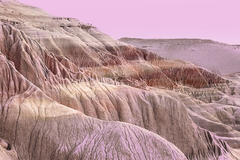 © Sofia Lopez Mañan - Image from the Nature is Dead photography project