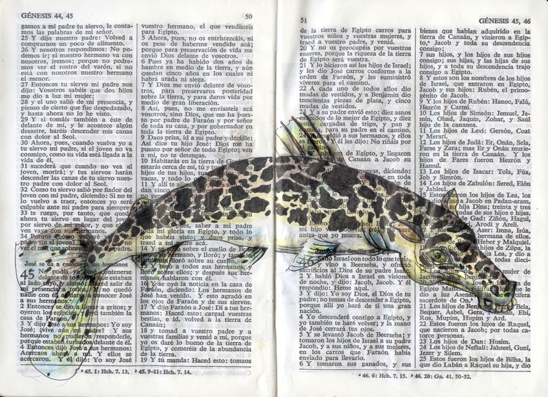 © Sofia Lopez Mañan - Image from the Nature is Dead photography project