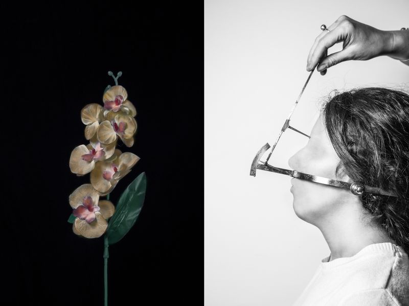 © Sofia Lopez Mañan - Image from the Nature is Dead photography project