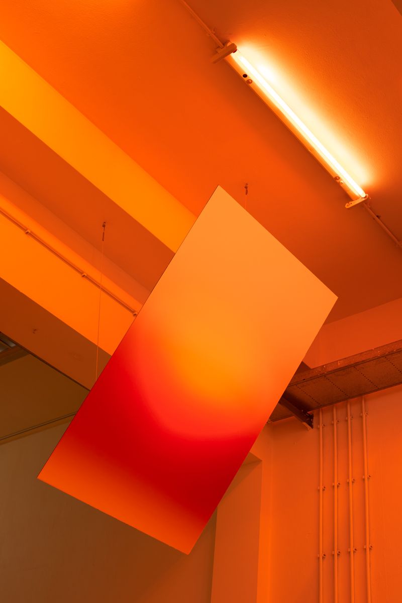 © Katarina Juricic - Sunrise, Documentation