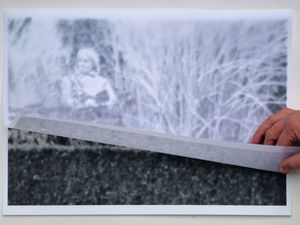 Pamela in no mans land