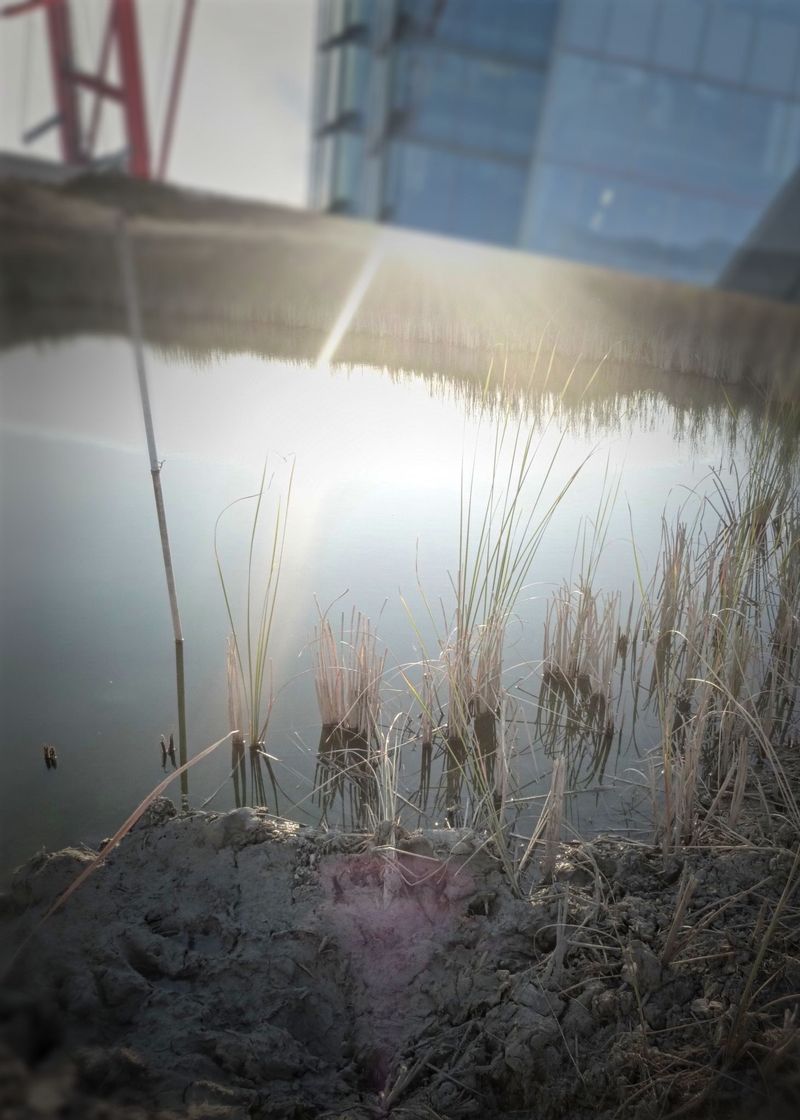 © Philippa Armstrong - Image from the Italy's  vertical playscapes photography project