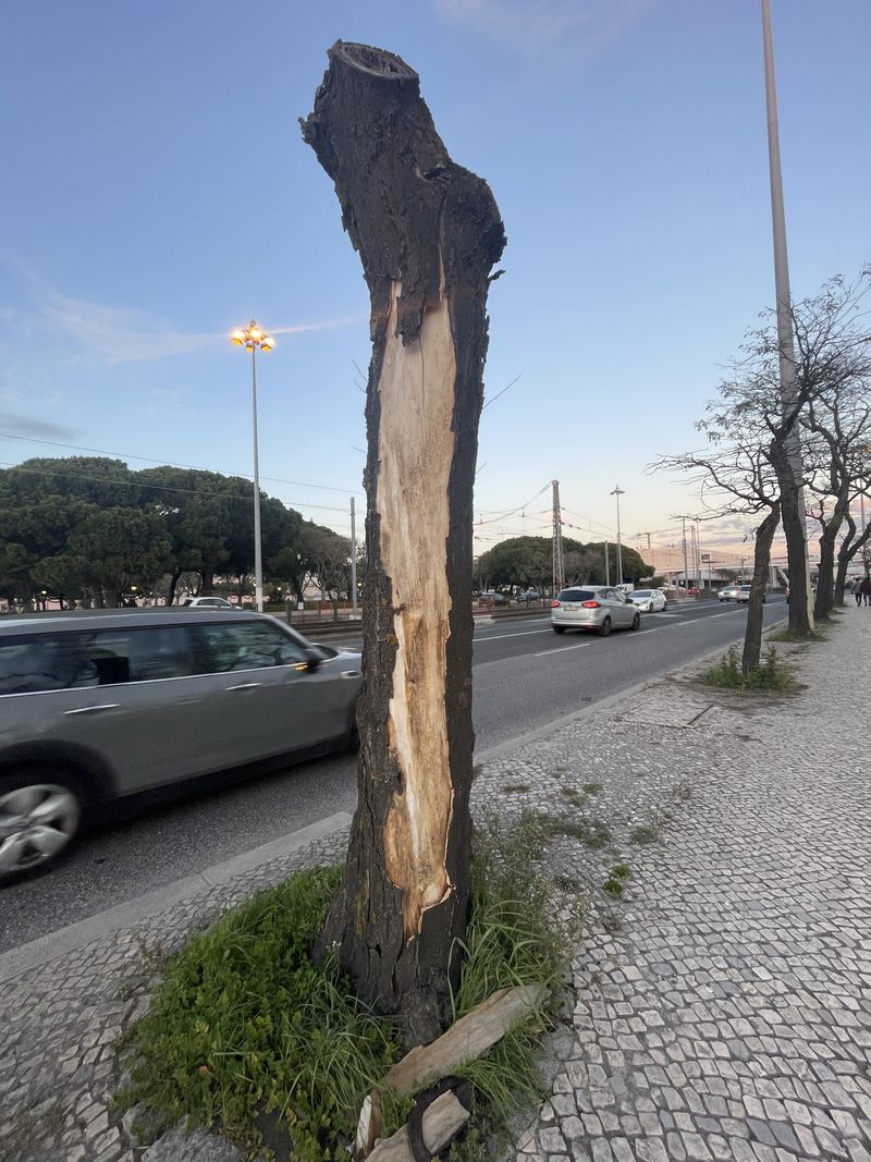 © Philippa Armstrong - Image from the On My Skin photography project