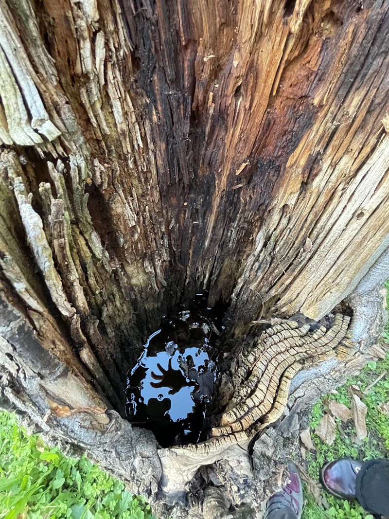 © Philippa Armstrong - Image from the On My Skin photography project